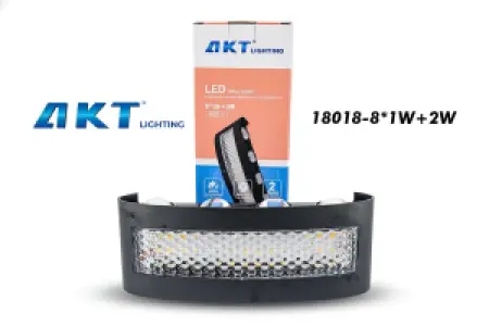 AKT LED墙壁灯 – 型号18018 – 8×1W / 8×1W+2W – 室内外壁灯 (IP65)