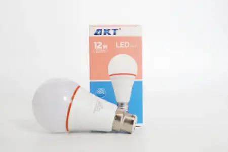 AKT LED灯泡 12瓦