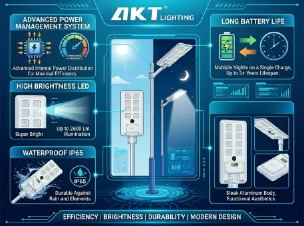 How to Choose the Best Solar Street Lights in Nigeria (2026 Guide)