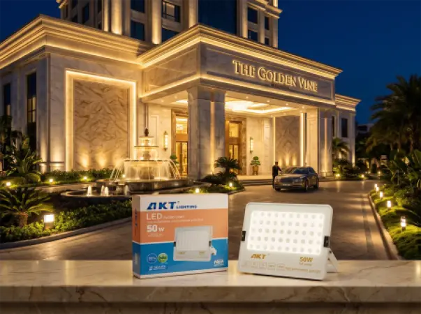 AKT LED Flood Light 50W (AKT-TGD12030-50W)