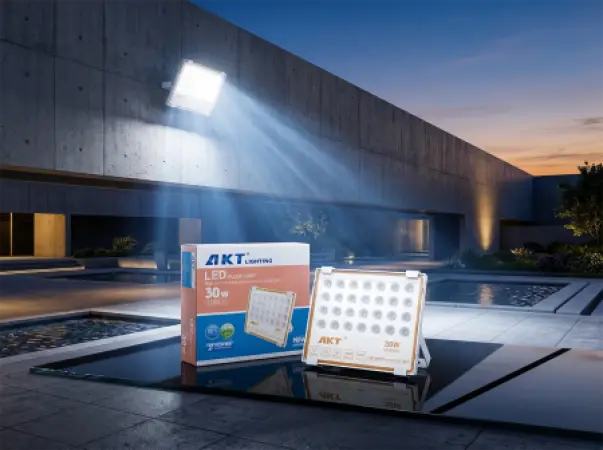 Projecteur LED AKT 30W (AKT-TGD12017-30W)