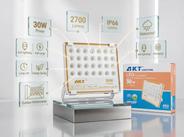 Projecteur LED AKT 30W (AKT-TGD12017-30W)